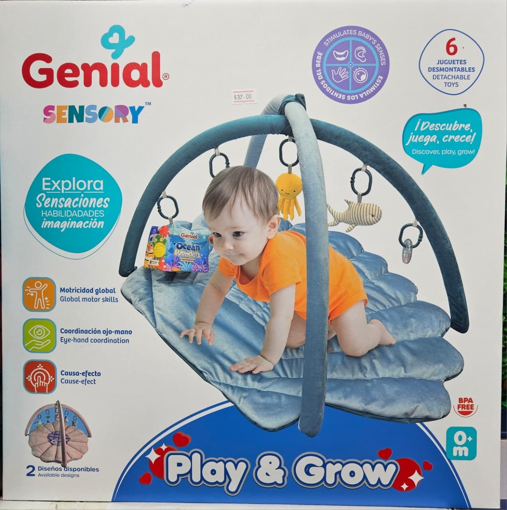 GIMNASIO DE ACTIVIDADES